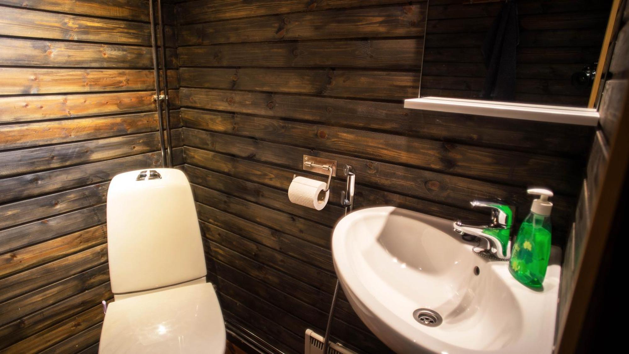 Arctic Giant Aparthotel Paltamo Rum bild