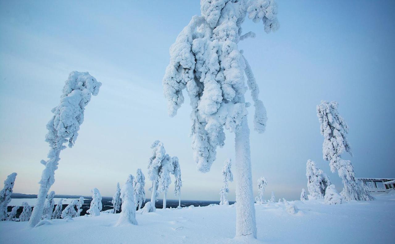 Arctic Giant Aparthotel Paltamo Exteriör bild